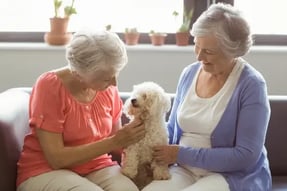 Independent Living-2
